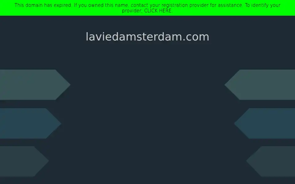 Screenshot of laviedamsterdam.com