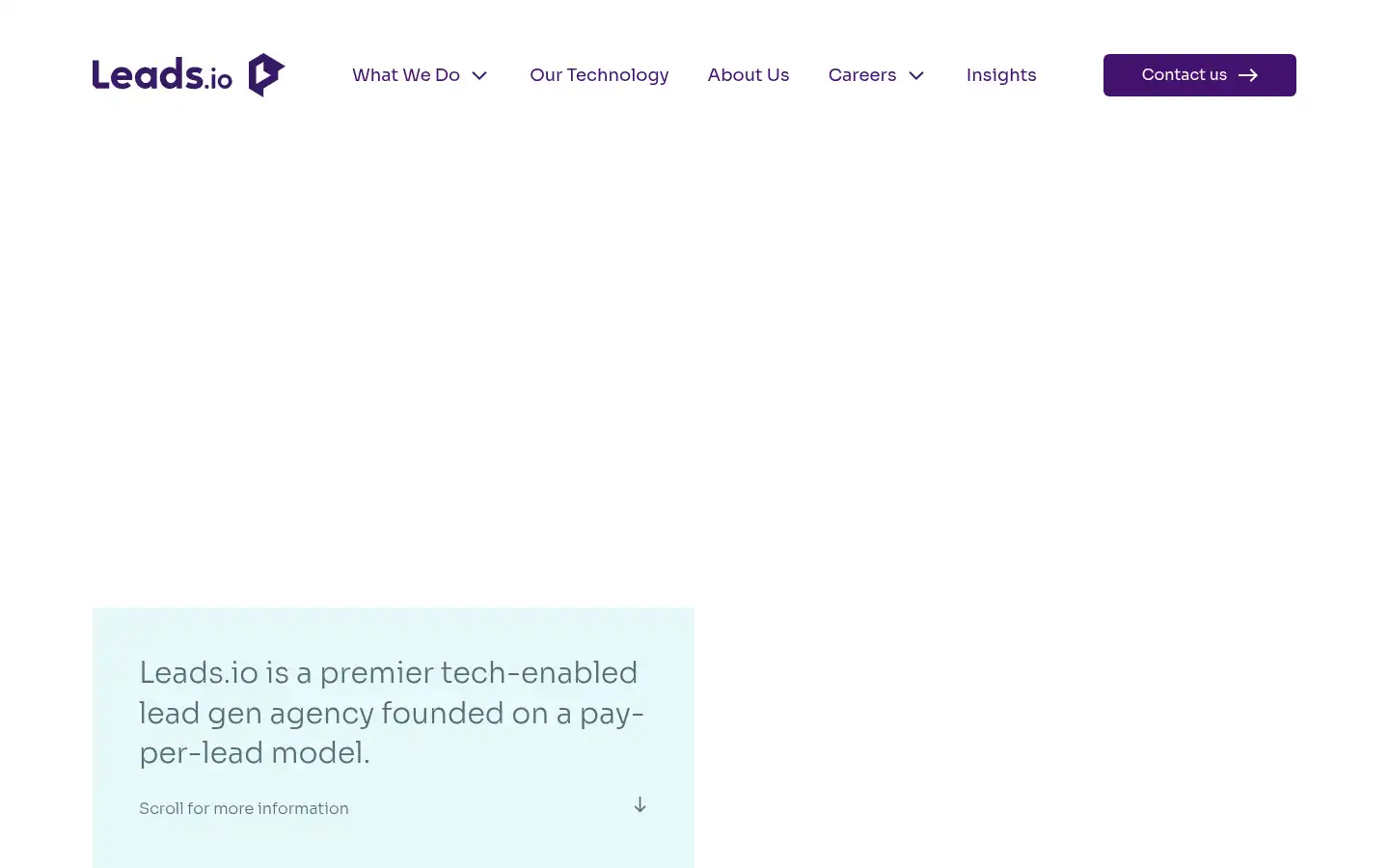 Screenshot of leads.io