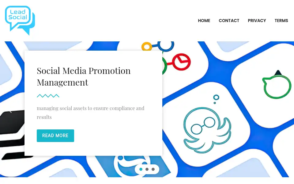Screenshot of leadsocial.net