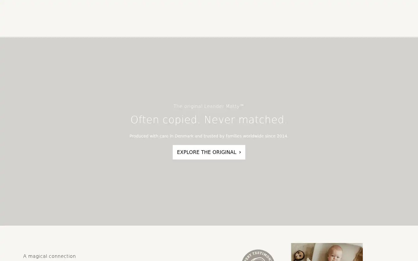 Screenshot of leander.com