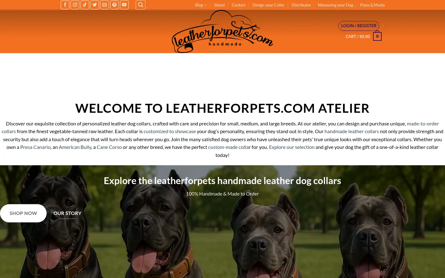Screenshot of leatherforpets.com