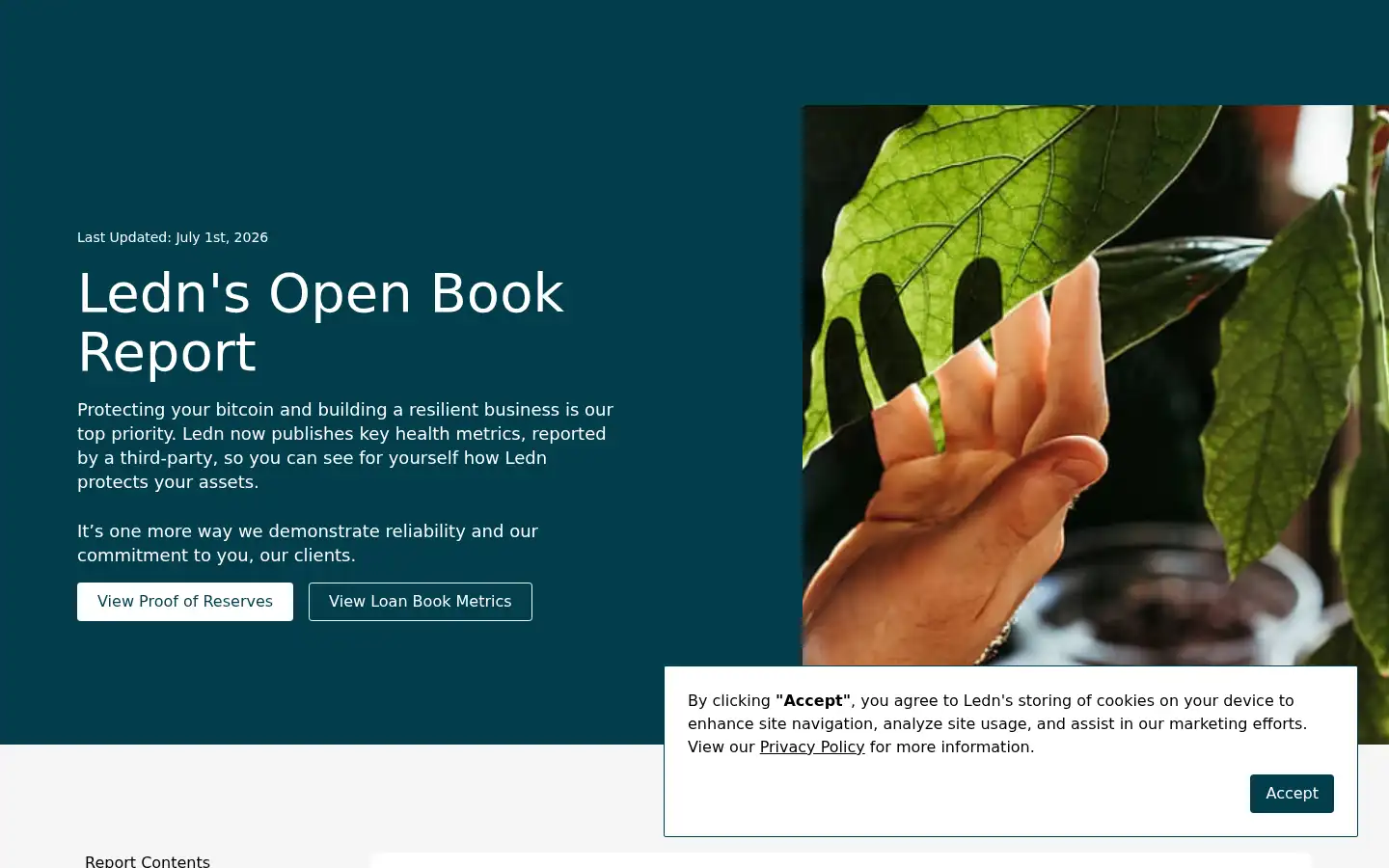 Screenshot of ledn.io