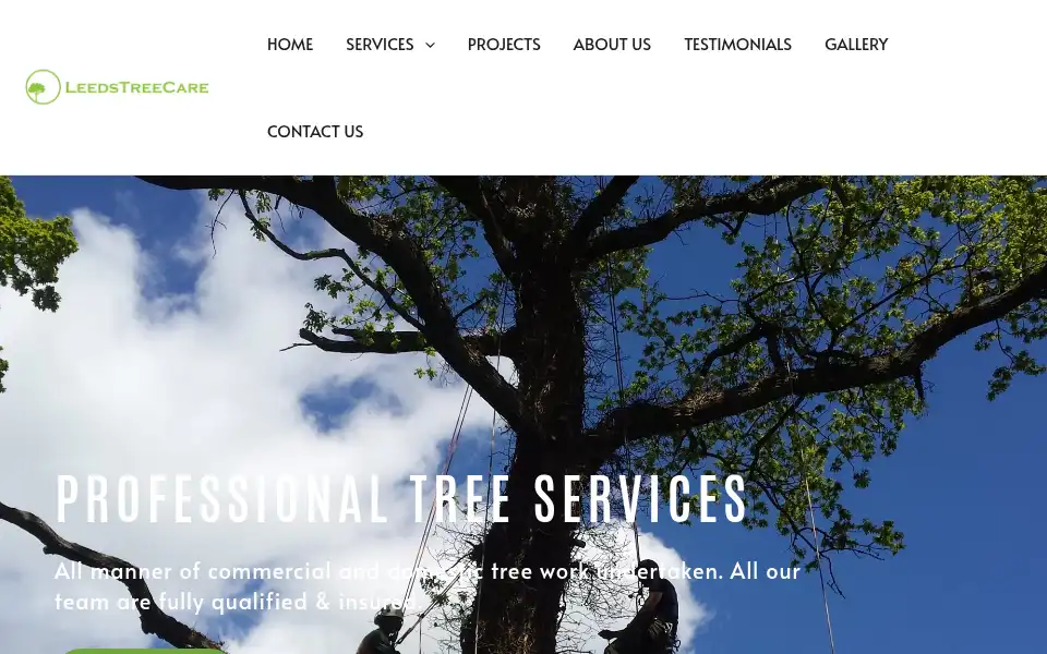 Screenshot of leedstreecare.com