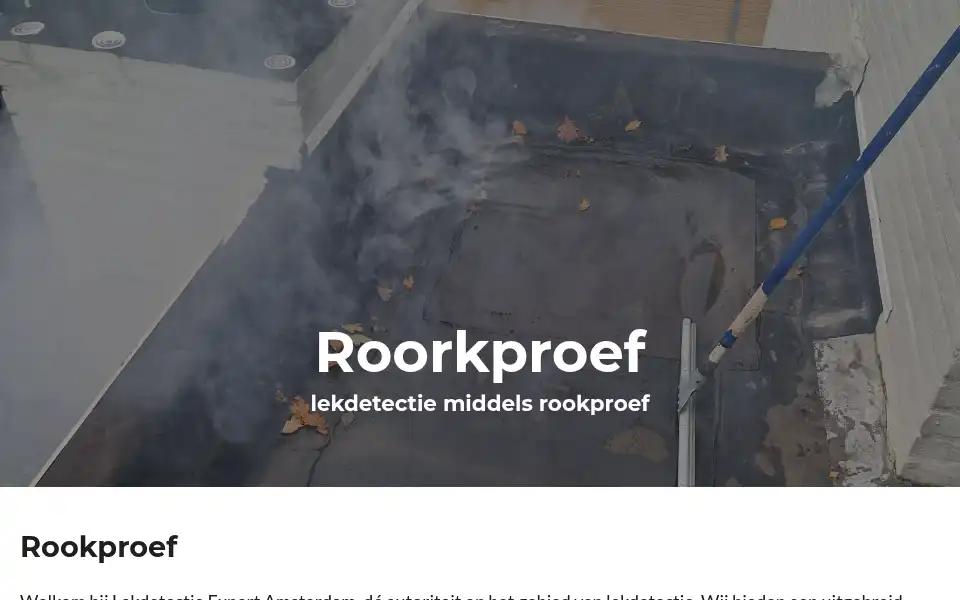 Screenshot of lekdetectieexpert-amsterdam.nl