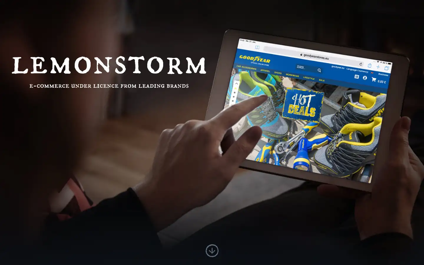 Screenshot of lemonstorm.com