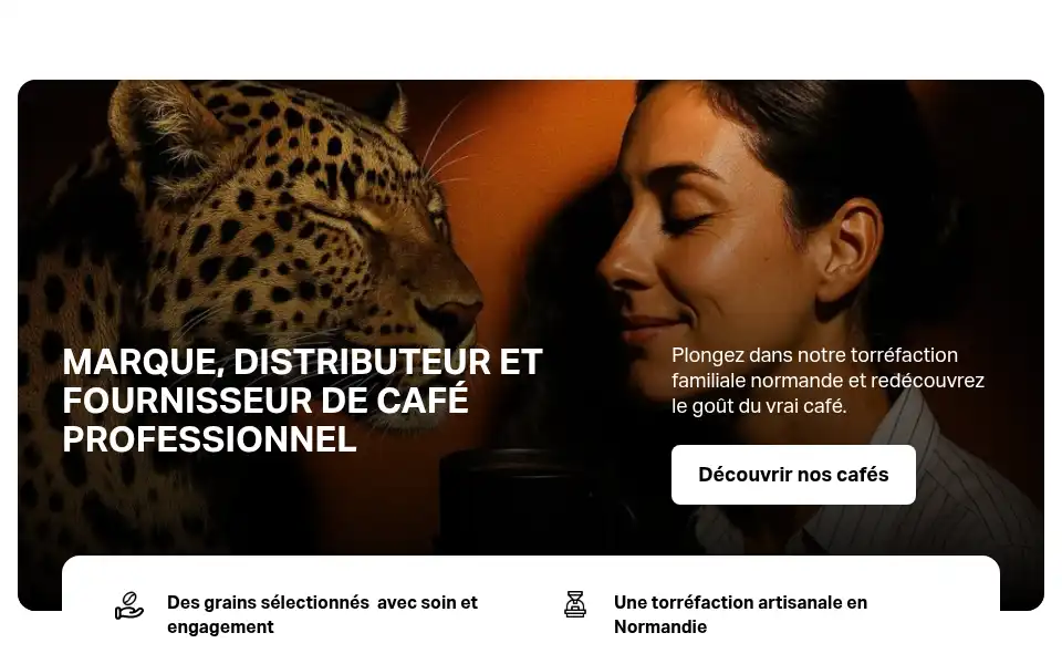 Screenshot of lestorrefacteurs.cafe