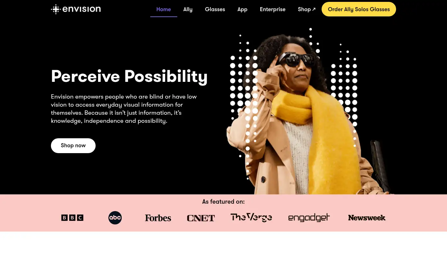 Screenshot of letsenvision.com
