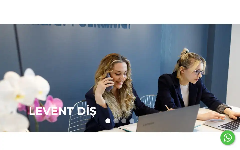 Screenshot of leventdis.com.tr