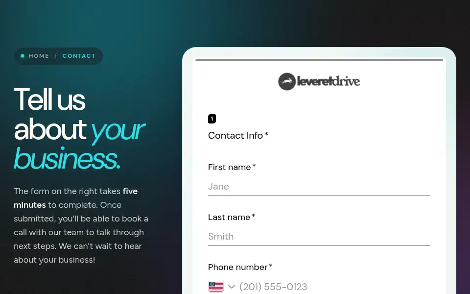 Screenshot of leveretdrive.com