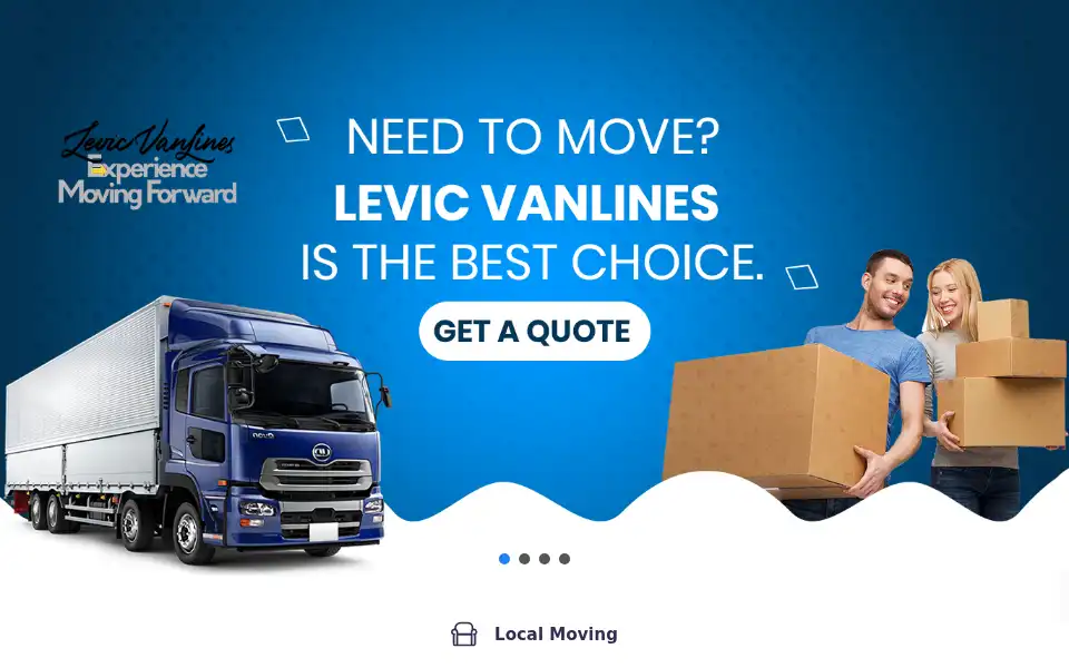 Screenshot of levicvanlines.com