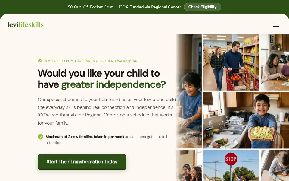 Screenshot of levilifeskills.com