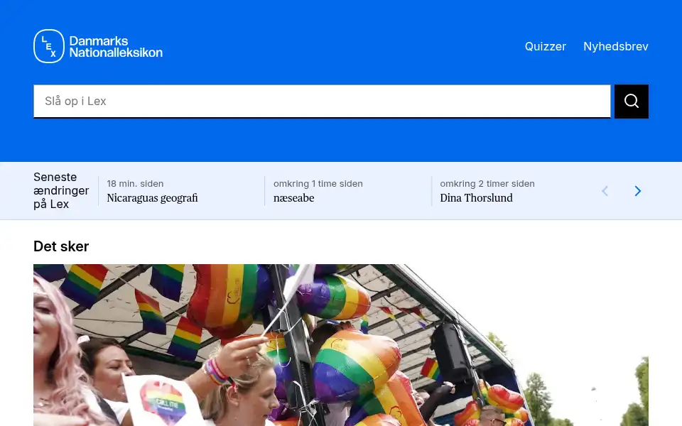 Screenshot of lex.dk