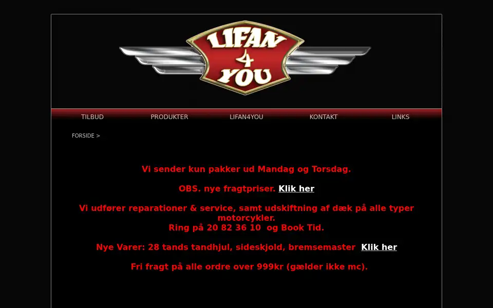 Screenshot of lifan4you.dk