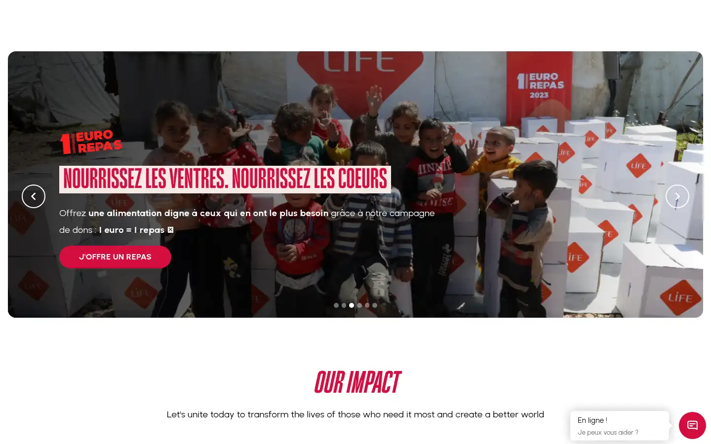 Screenshot of life-ong.org