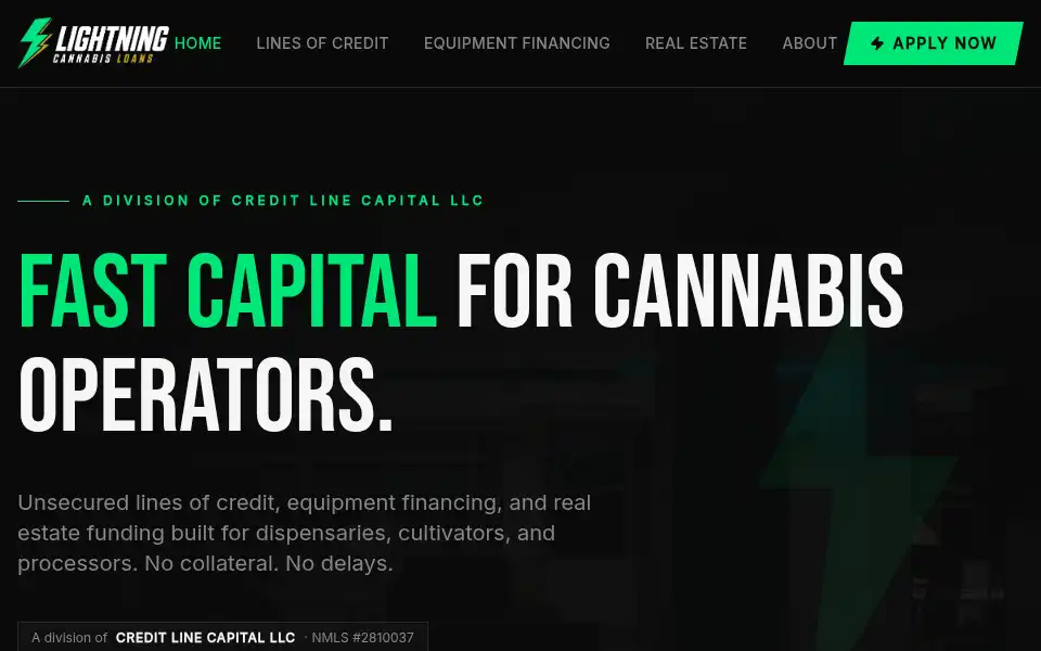 Screenshot of lightningcannabisloans.com