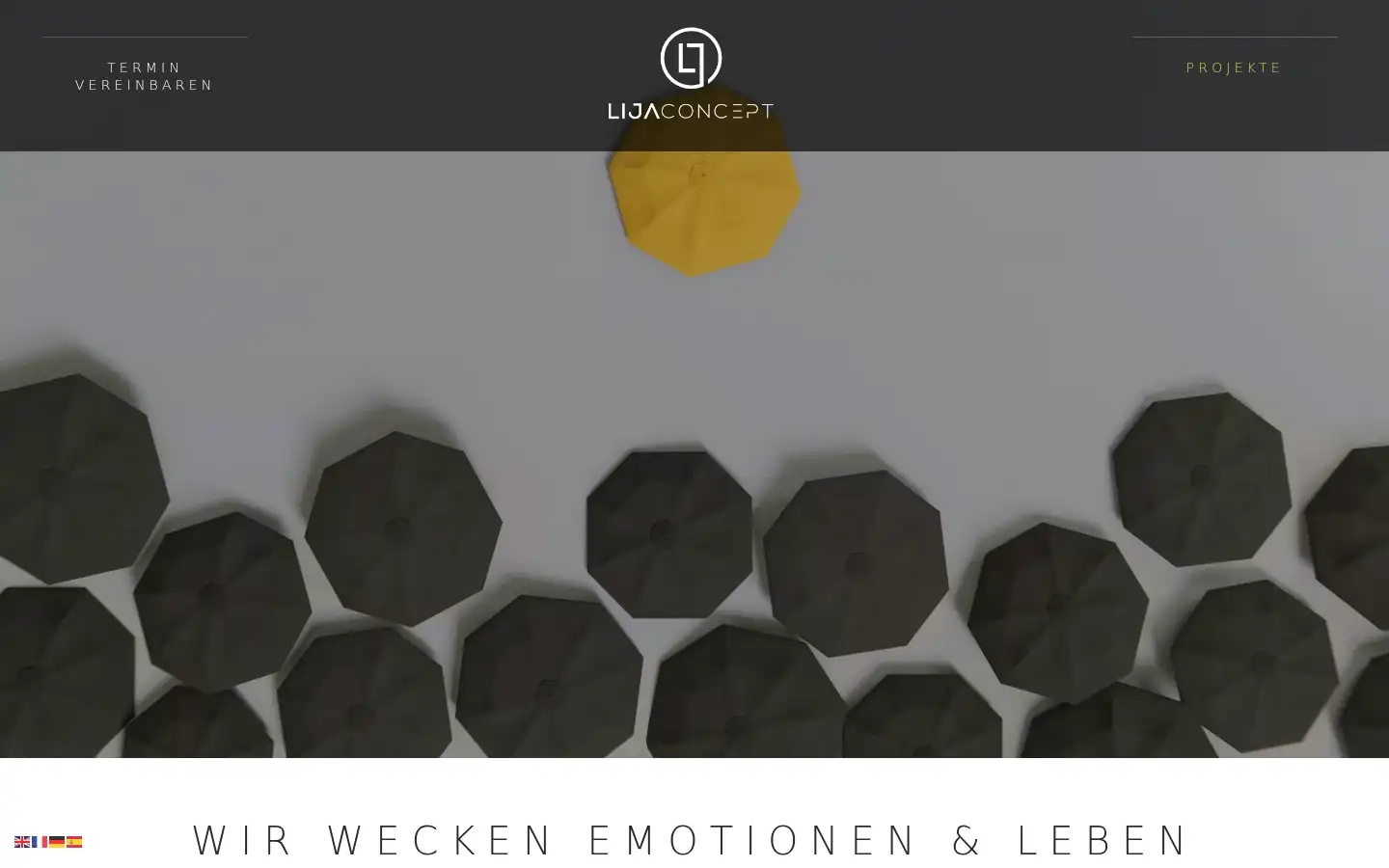 Screenshot of lija-concept.de