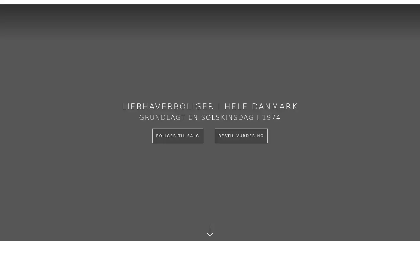 Screenshot of lilienhoff.dk