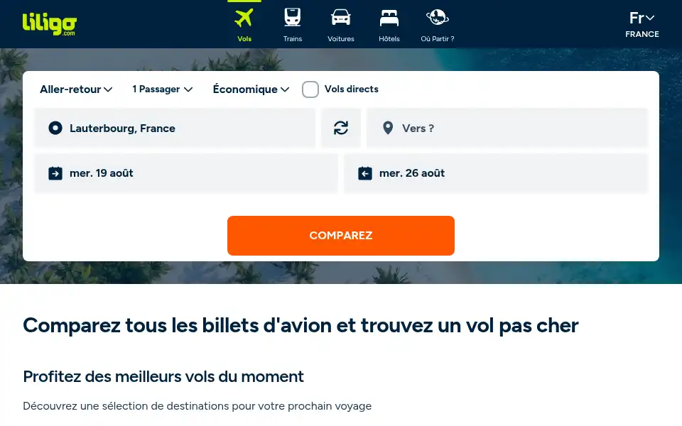 Screenshot of liligo.fr