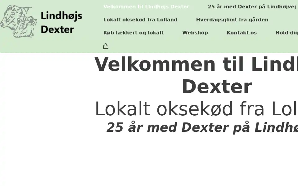 Screenshot of lindhoejs-dexter.dk