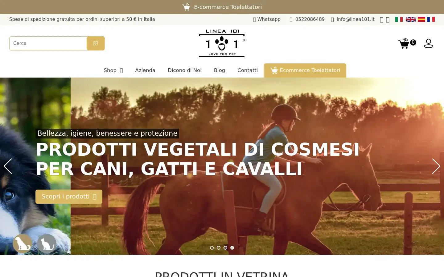 Screenshot of linea101.it