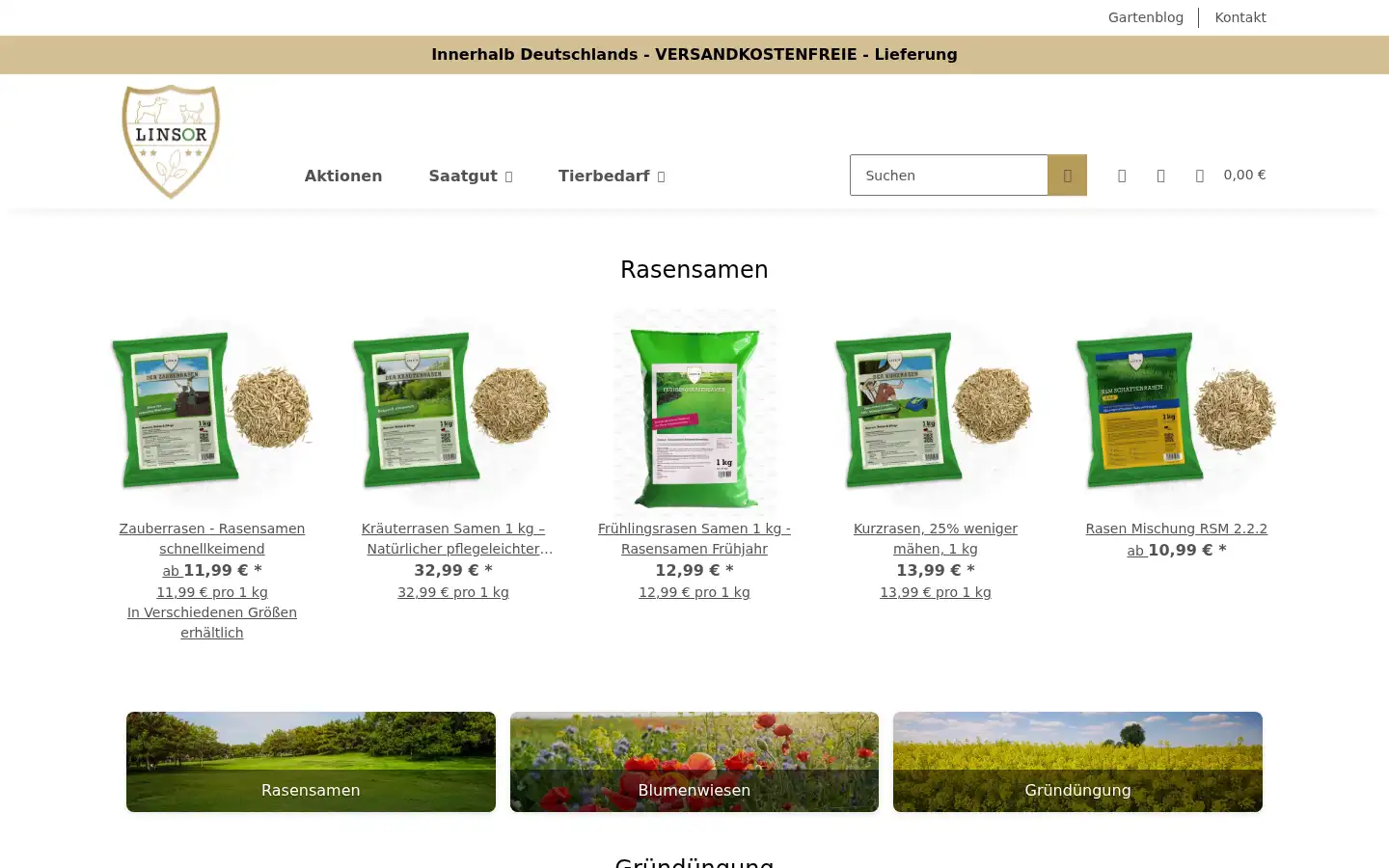 Screenshot of linsor.de