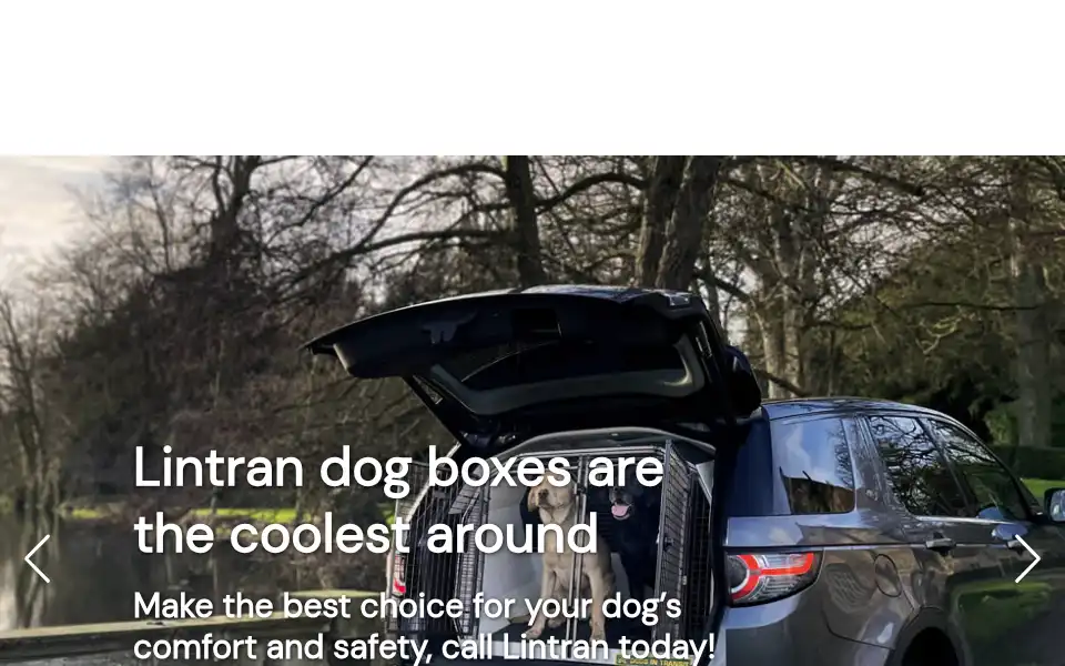 Screenshot of lintran.co.uk