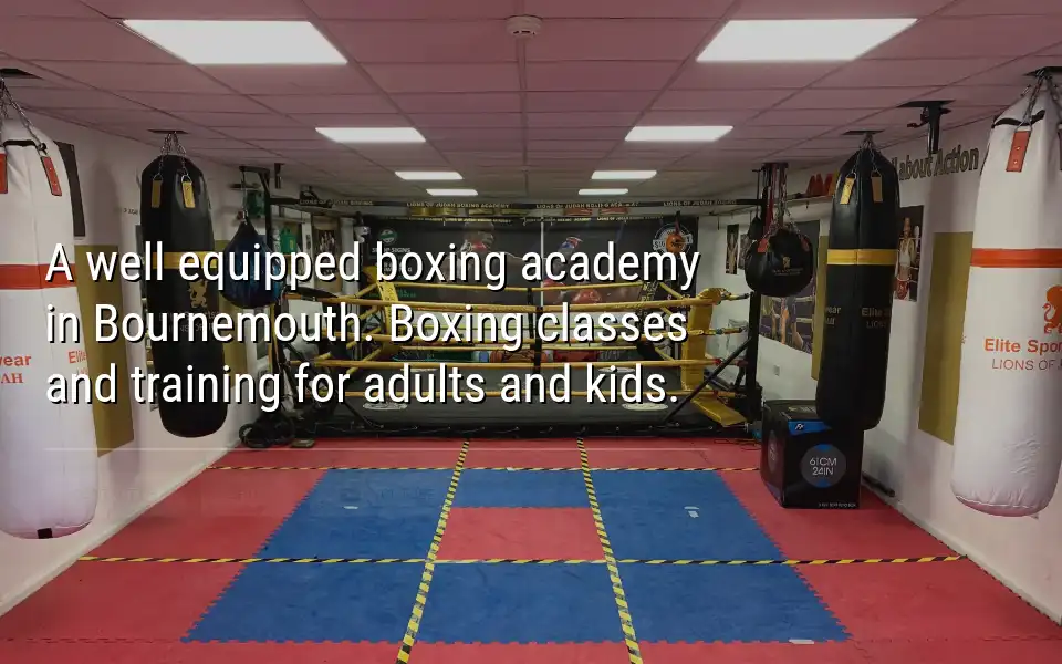 Screenshot of lionsofjudaboxingacademy.co.uk