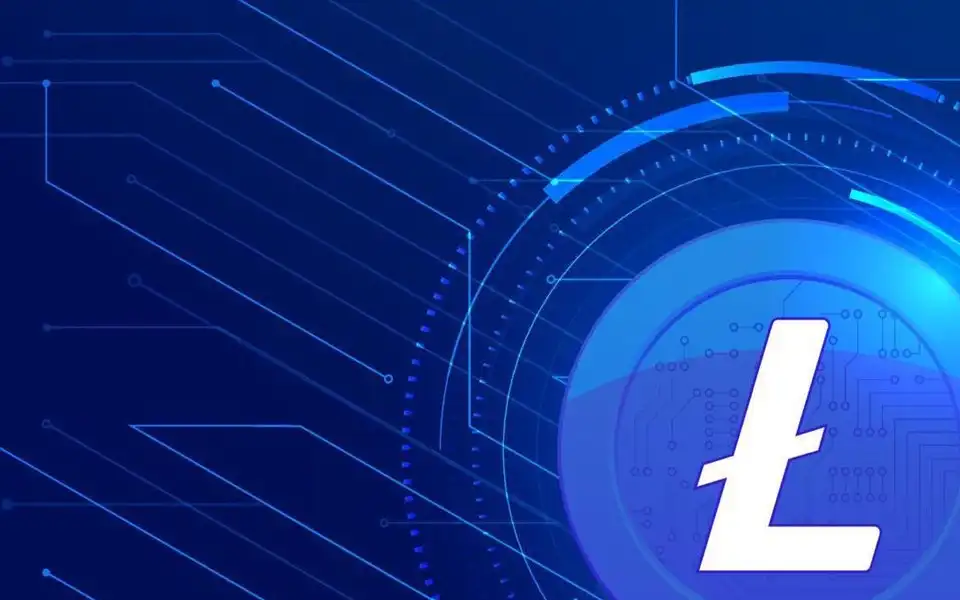 Screenshot of litecoin-mining.cc