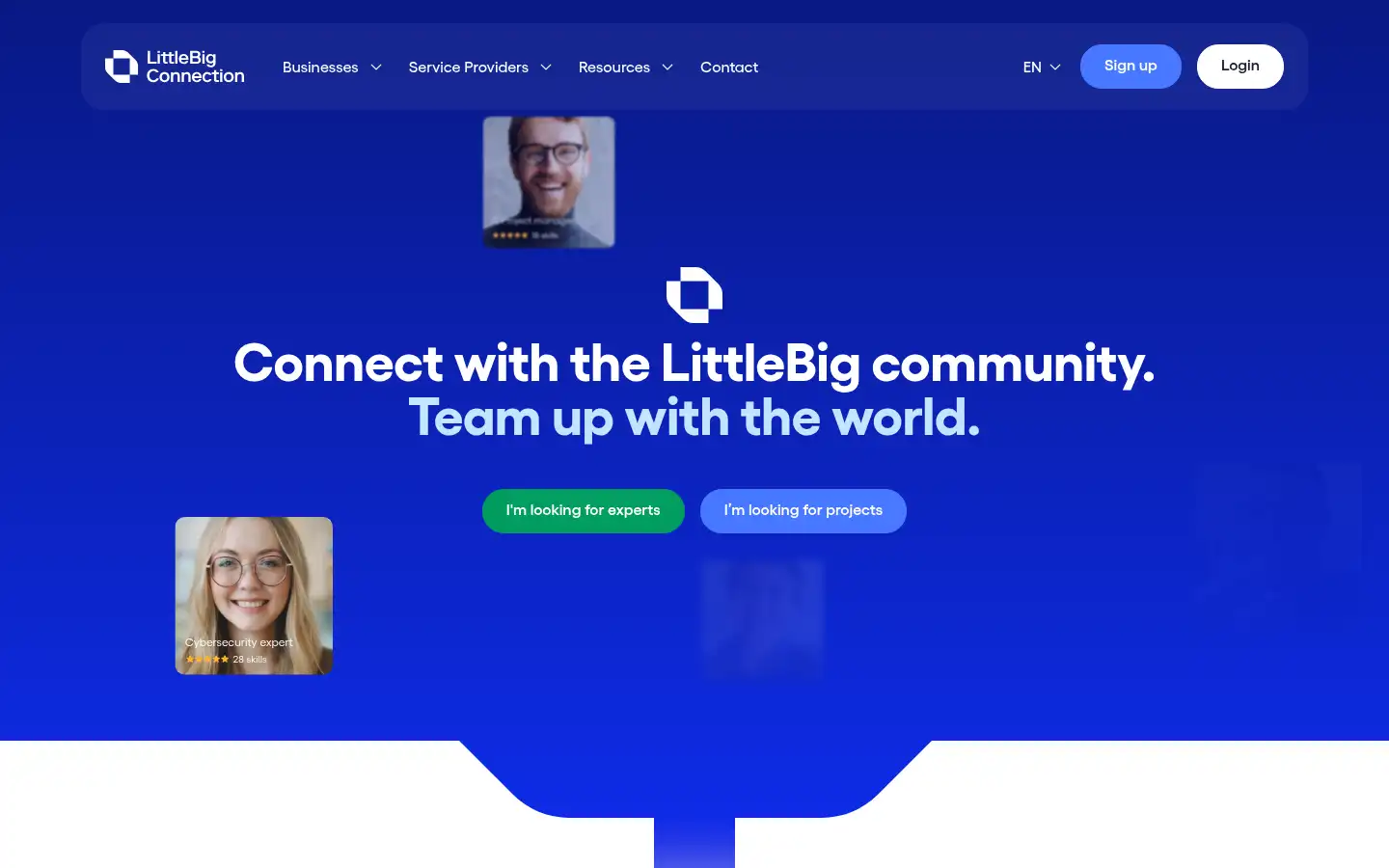 Screenshot of littlebigconnection.com