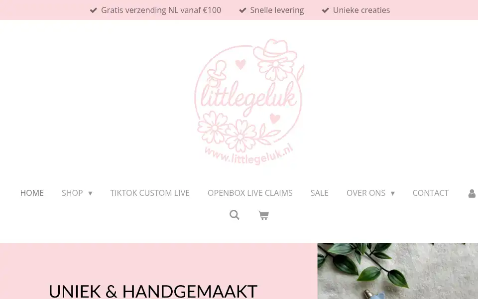 Screenshot of littlegeluk.nl