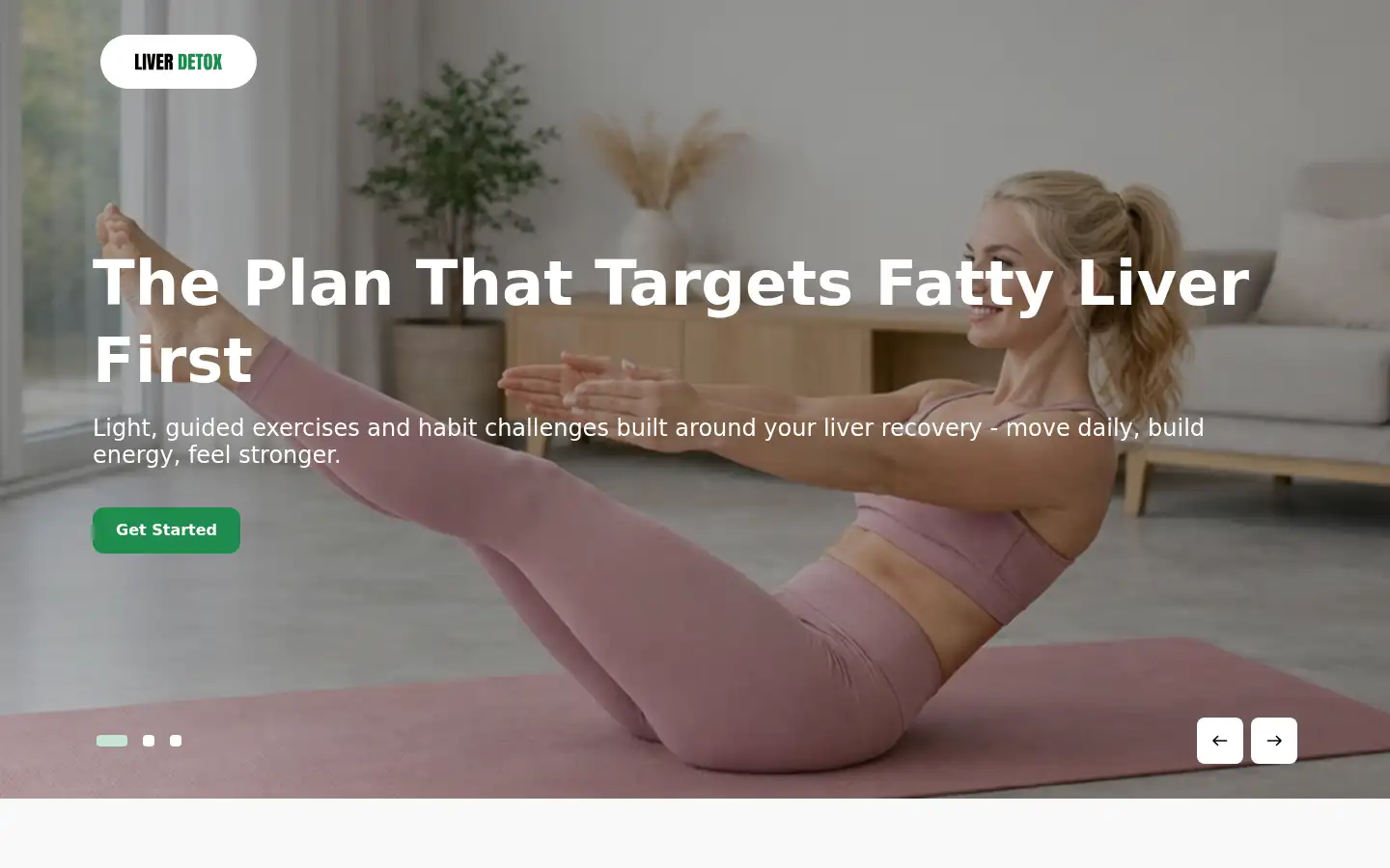 Screenshot of liverdetox.diet