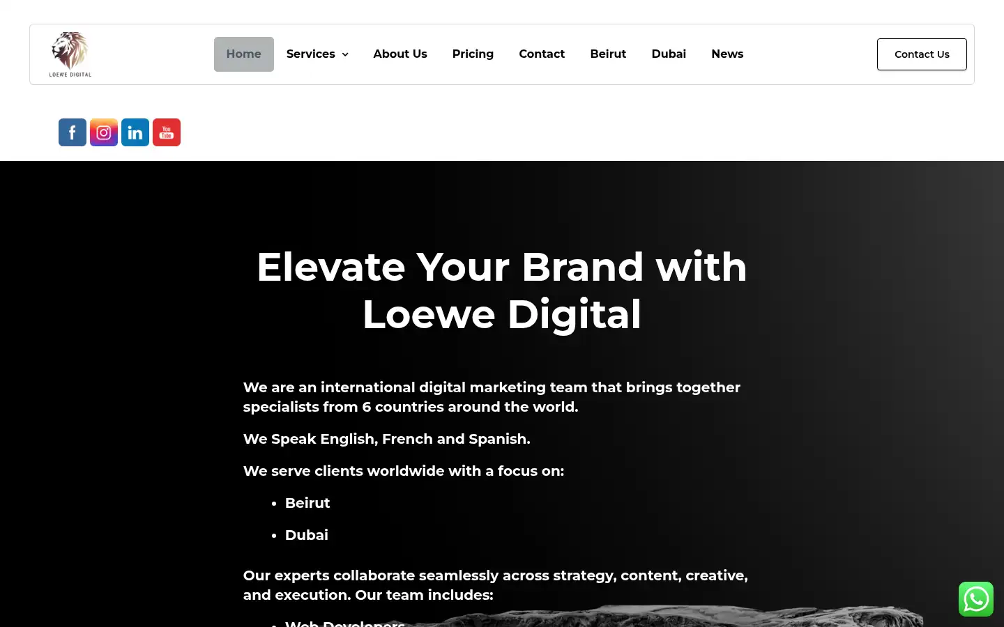 Screenshot of loewedigital.com