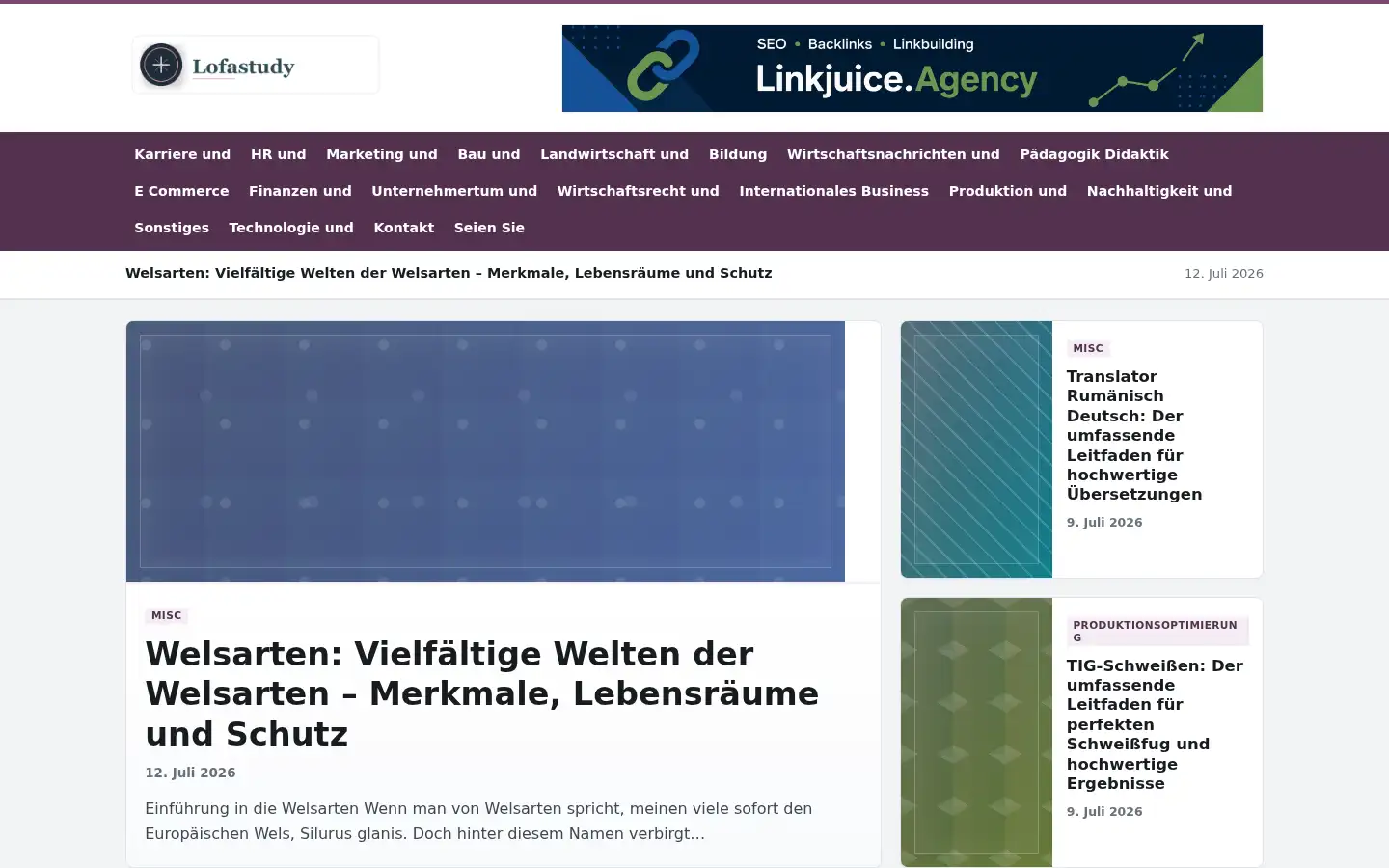 Screenshot of lofastudy.at
