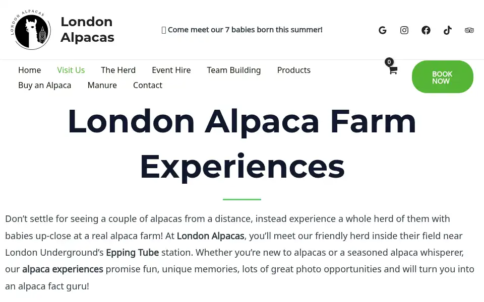 Screenshot of londonalpacas.co.uk