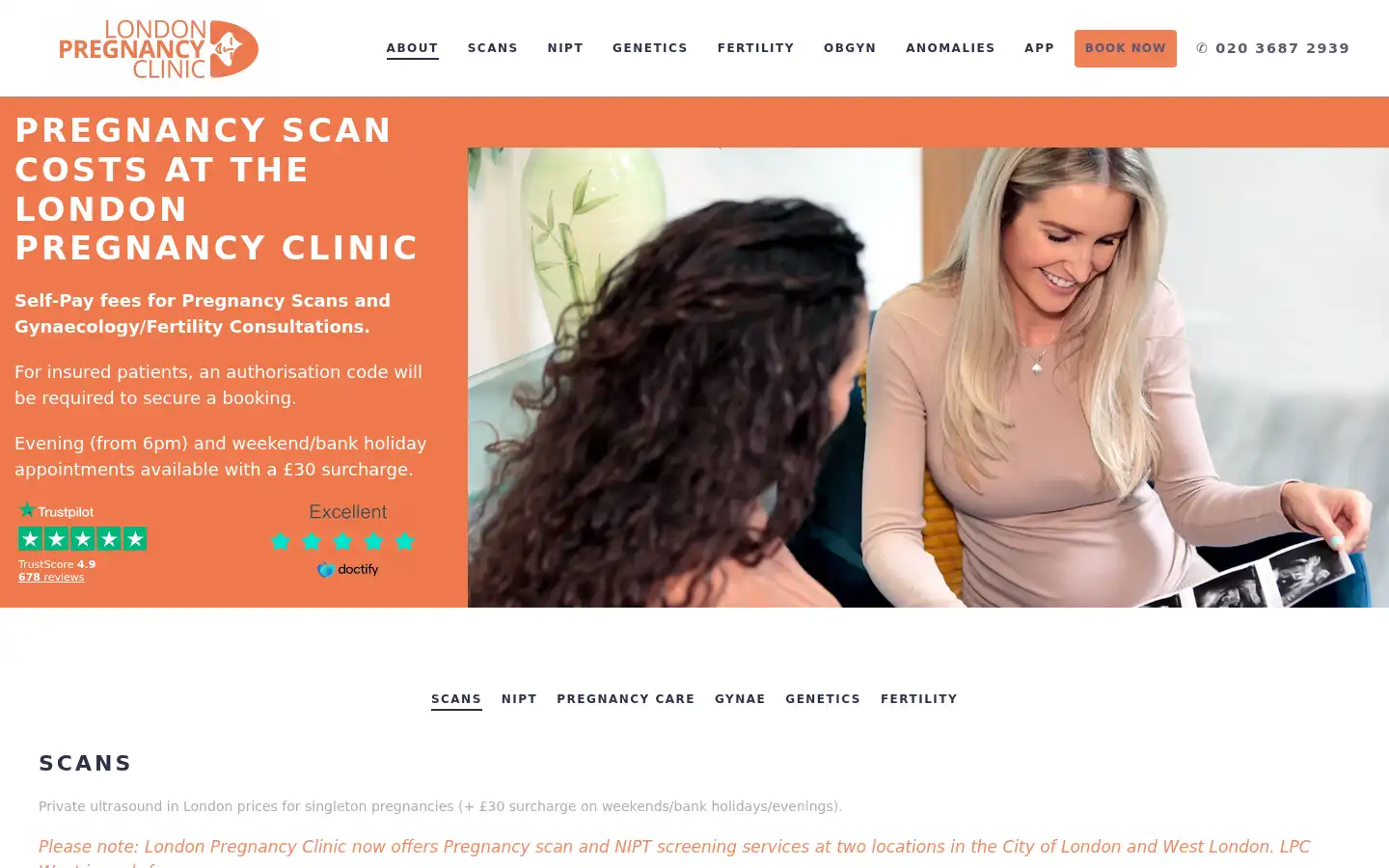 Screenshot of londonpregnancy.com