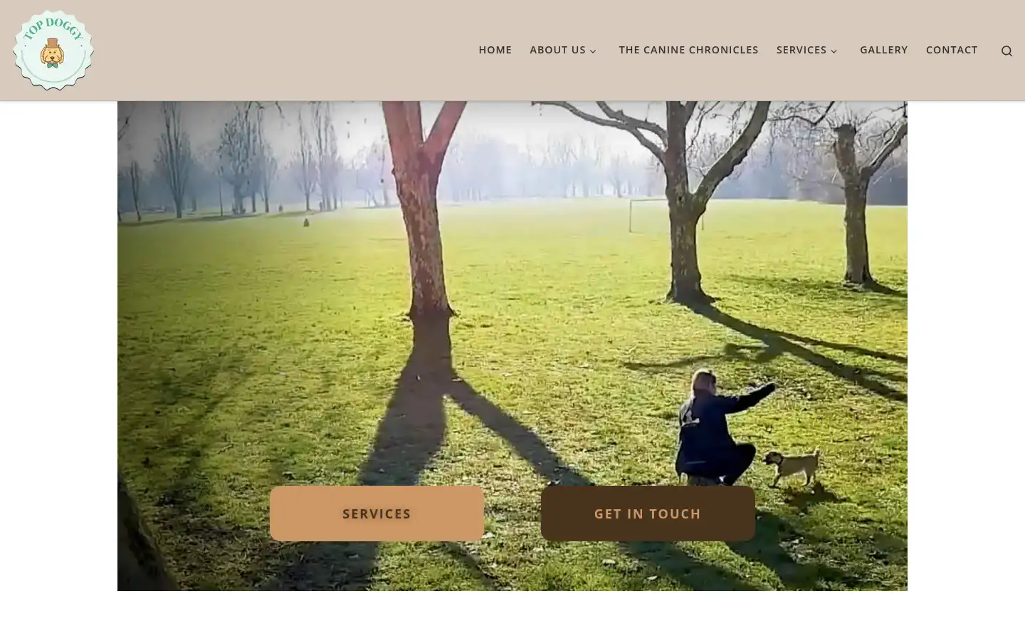 Screenshot of londontopdoggydaycare.co.uk