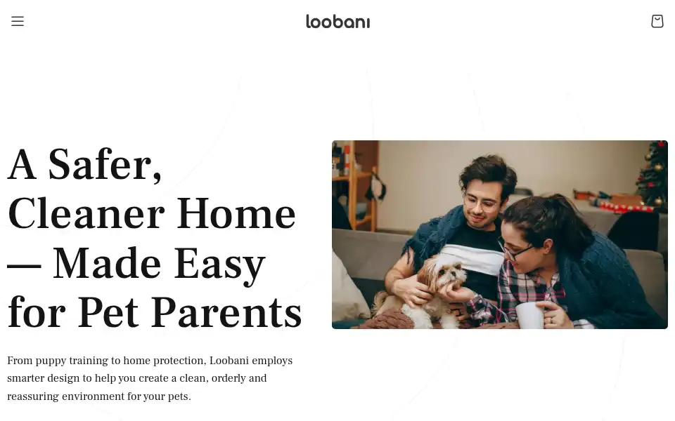 Screenshot of loobani.com