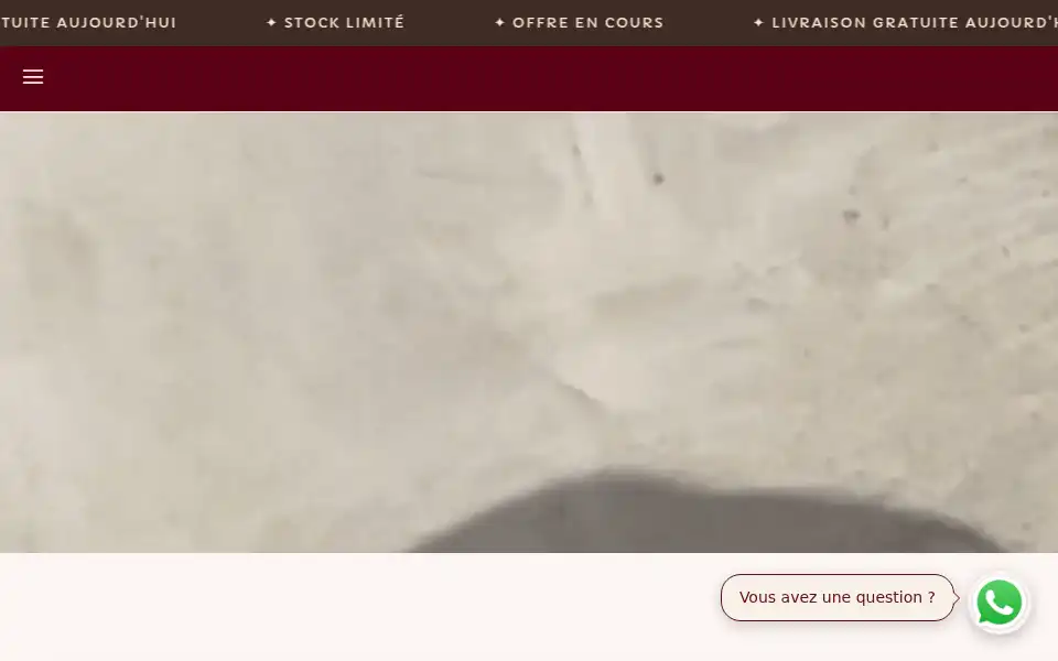 Screenshot of lookbook.youcan.store