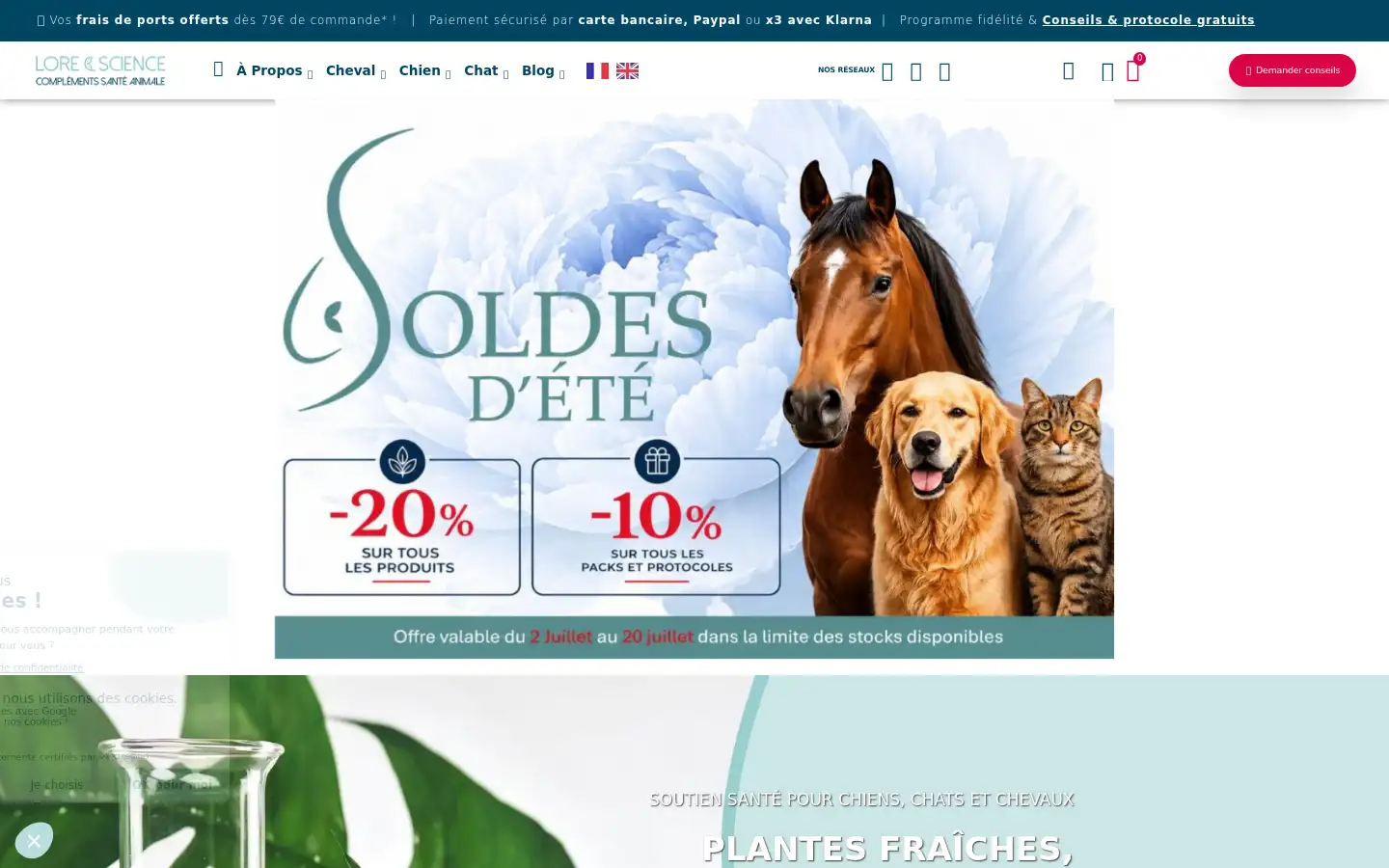 Screenshot of loreandscience.fr