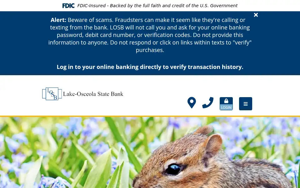 Screenshot of losb.com