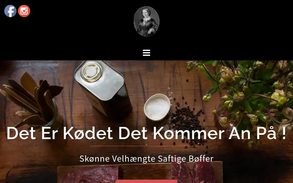 Screenshot of louisekroen.dk