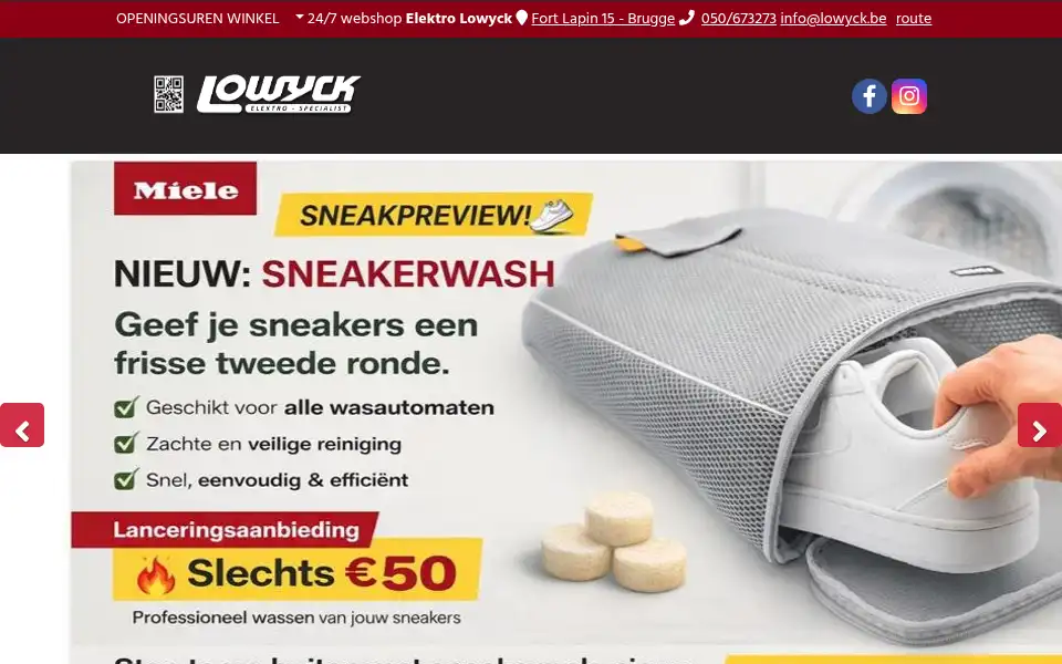 Screenshot of lowyck.be