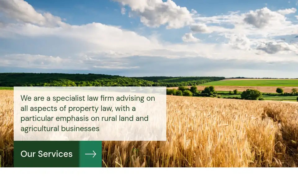 Screenshot of loxleylegal.com