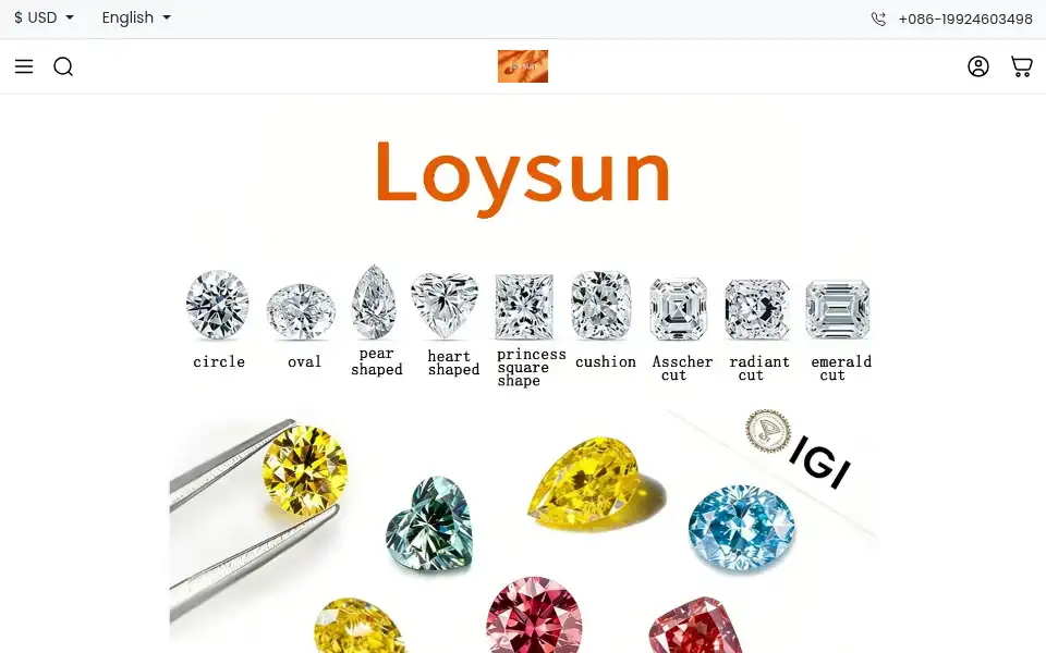 Screenshot of loysun.com
