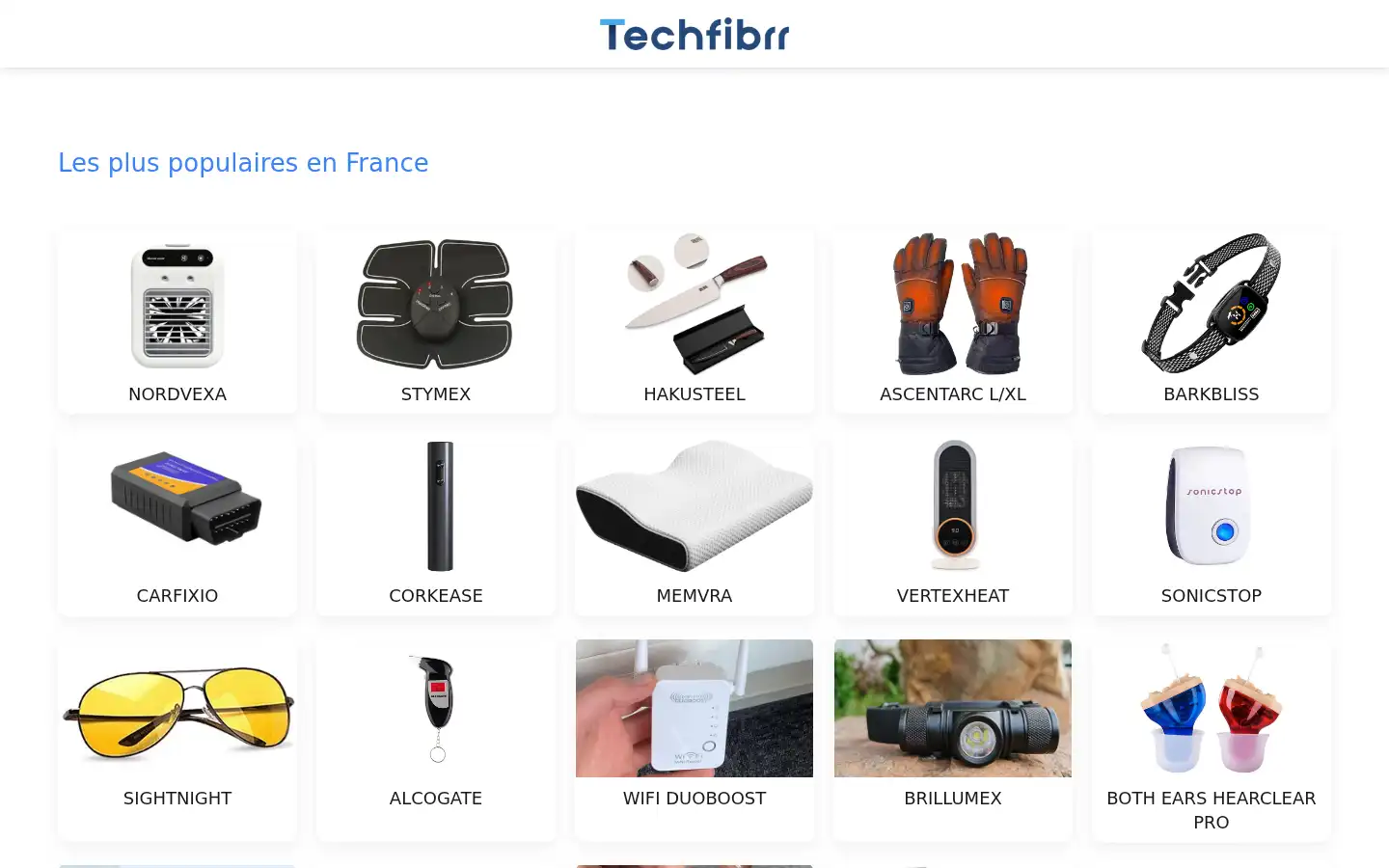 Screenshot of lp.techfibrr.com