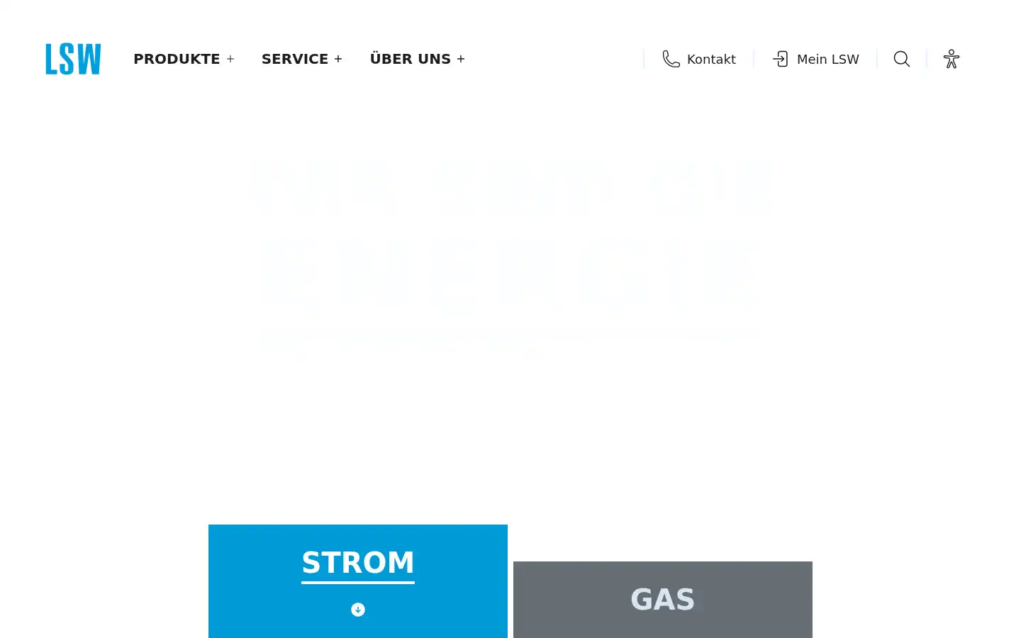 Screenshot of lsw.de