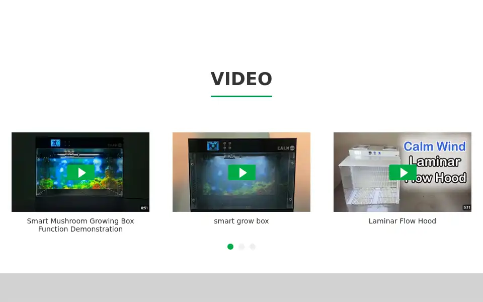 Screenshot of ltqvapor.com