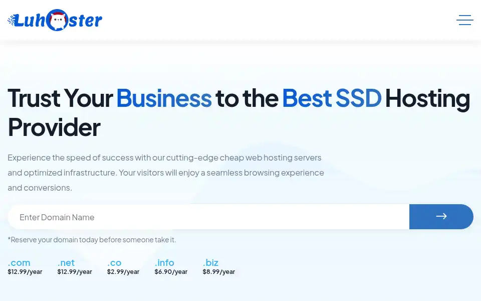 Screenshot of luhoster.com