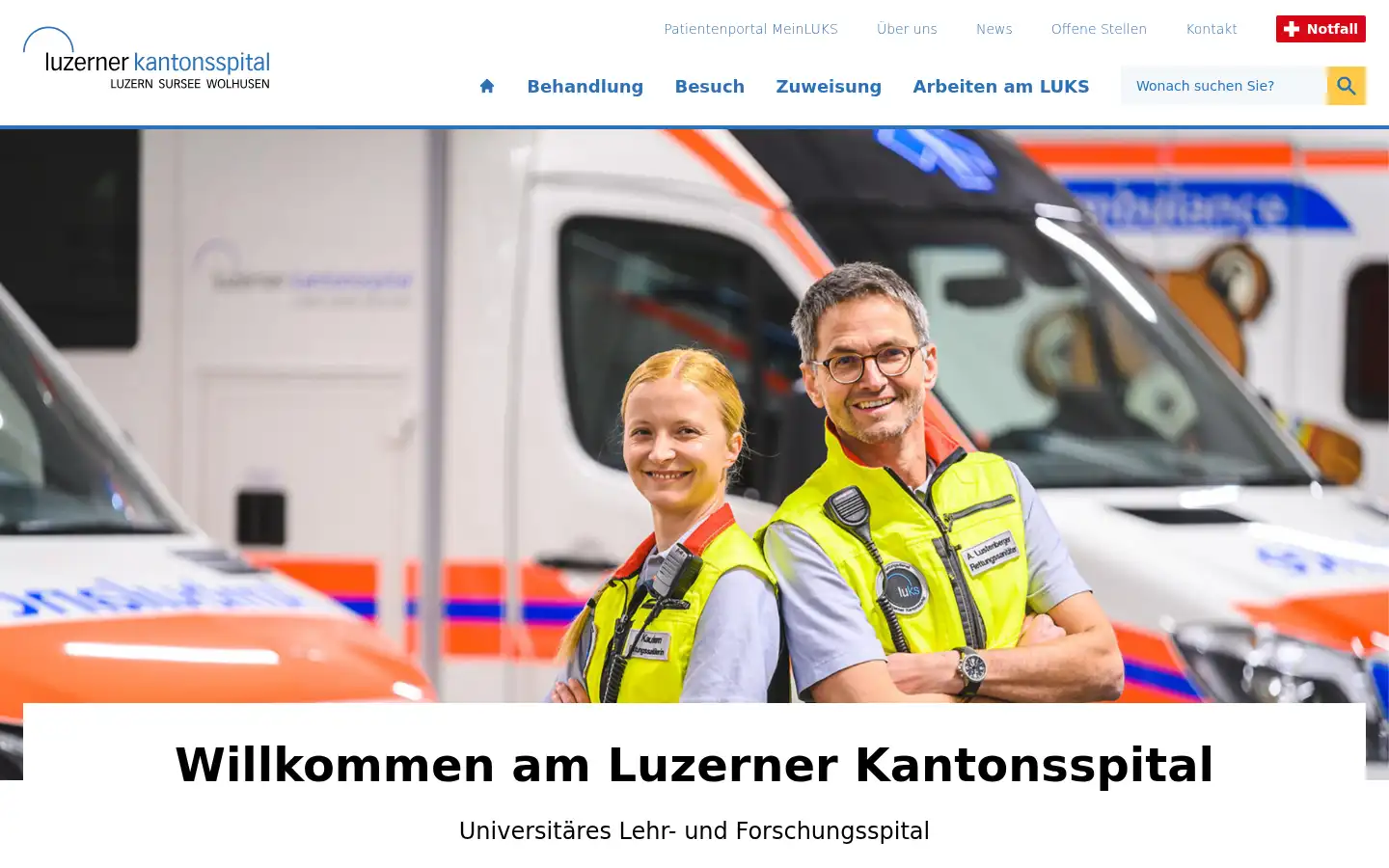 Screenshot of luks.ch