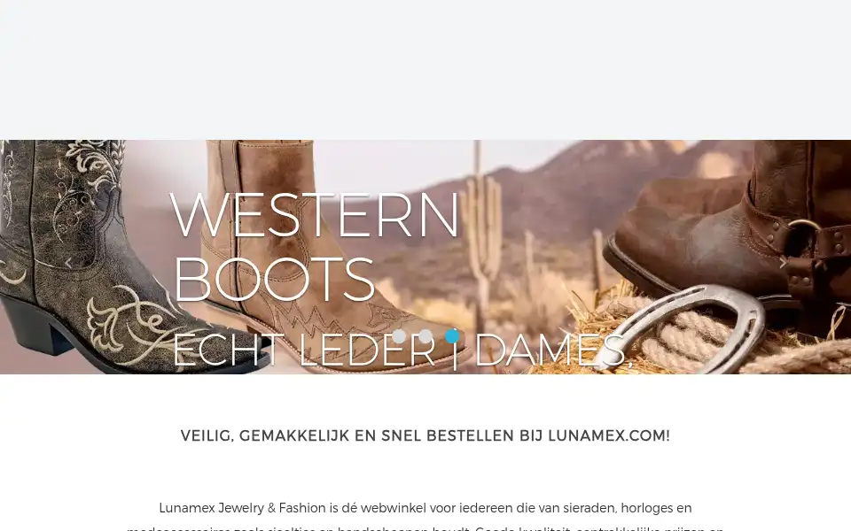 Screenshot of lunamex.com